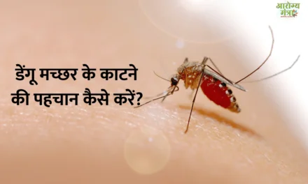  How to identify dengue mosquito : डेंगू मच्छर के काटने की पहचान कैसे करें?