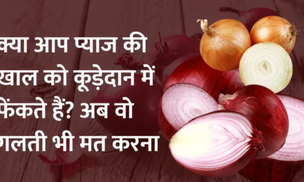 Use of onion layer : क्या आप प्याज की खाल को कूड़ेदान में फेंकते हैं? अब वो गलती भी मत करना… क्या आप जानते हैं क्यों?