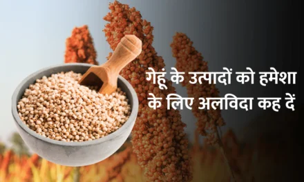 Benefits of Sorghum : ज्वार के फायदे