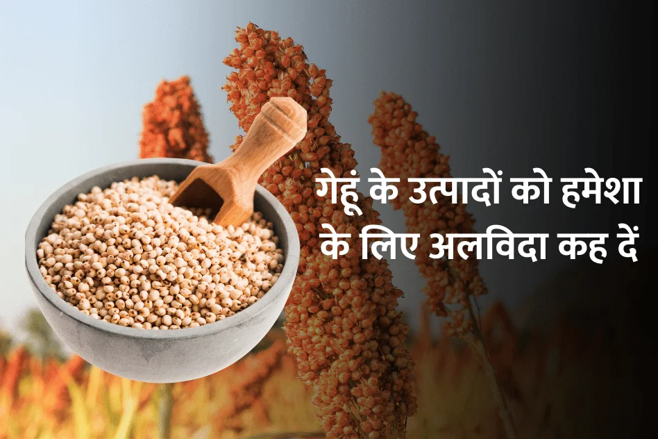 Benefits of Sorghum : ज्वार के फायदे