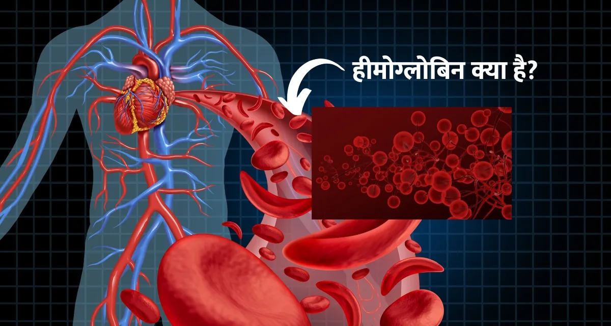 What is Hemoglobin? : हीमोग्लोबिन क्या है?